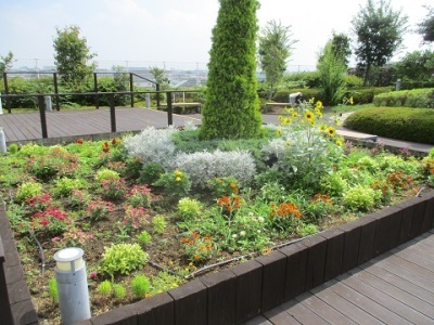 天空の散歩道除草活動