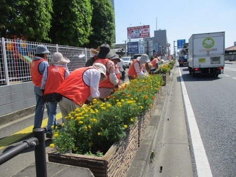 国道17号活動