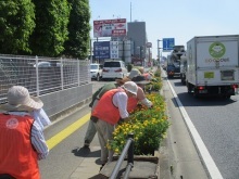 国道17号活動