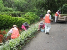 王国通り除草