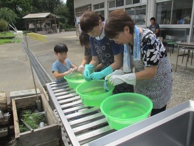 水洗い