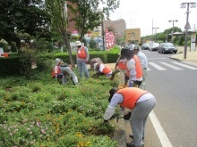 ステイションガーデン除草