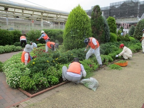 ステイションガーデン除草