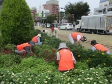 ステイションガーデン除草