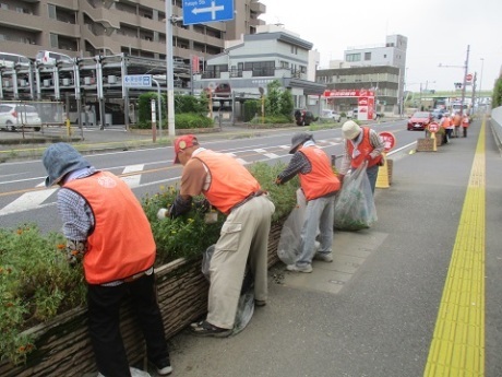 国道17号活動