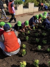 ステイションガーデン植栽