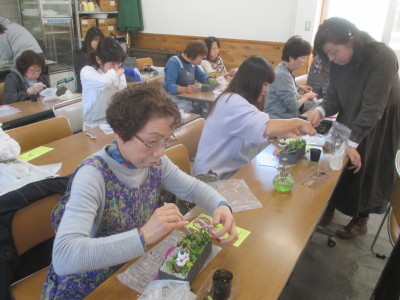 多肉植物の寄せ植え教室