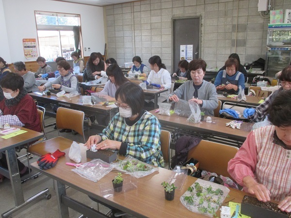 多肉植物の寄せ植え教室