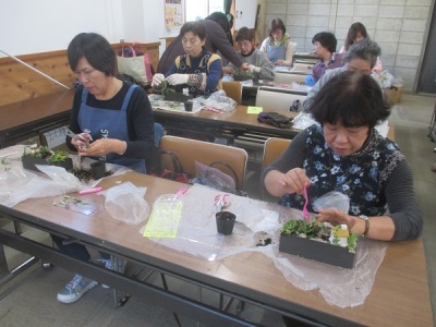 多肉植物の寄せ植え教室