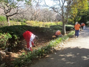 花園中学校社会体験