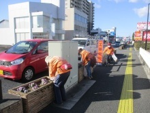 国道17号プランターの除草と花がら摘みを行い