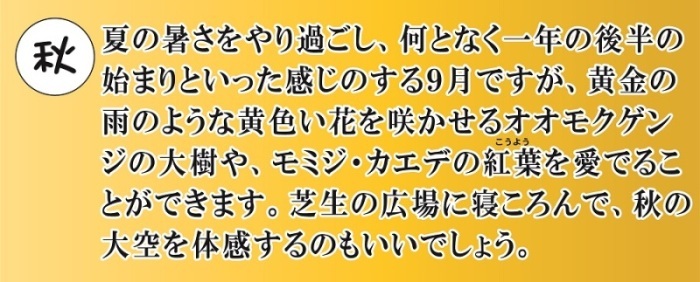 王国植物だより 秋