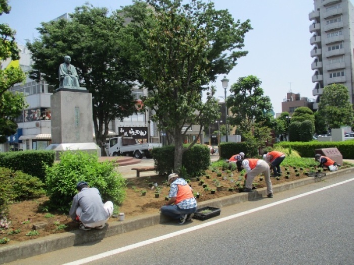 ステイションガーデン植栽