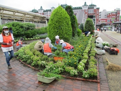 ステイションガーデン除草