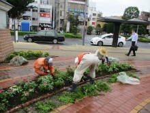 ステイションガーデン除草