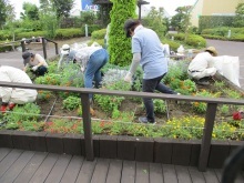 天空の散歩道除草