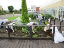 天空の散歩道除草