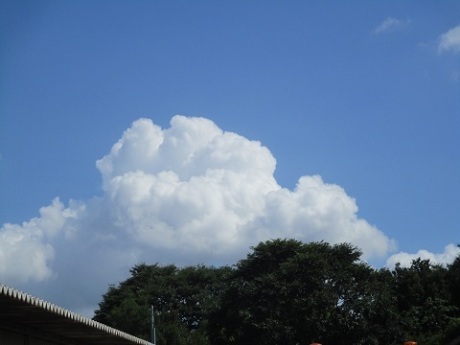 夏の雲