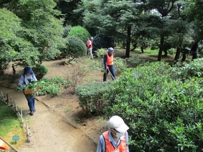 除草作業