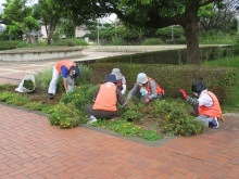 城址公園活動