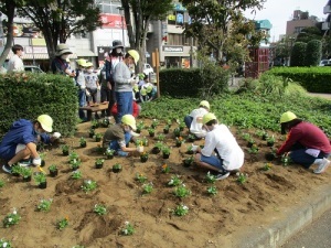 小学生植栽