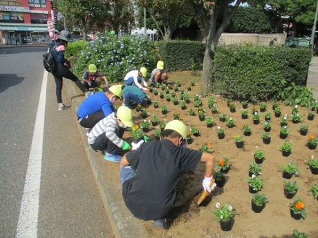 小学生植栽