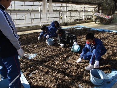 腐葉土づくり