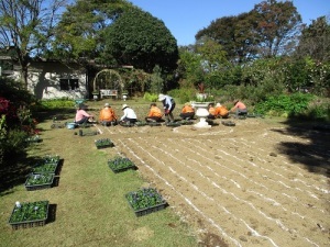 フローラガーデン植栽