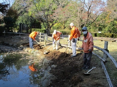 ハナショウブ植栽場所の耕運