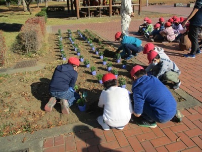 城址公園小学生植栽