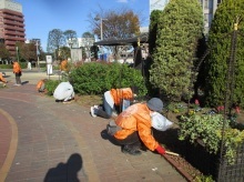 ステイションガーデン除草