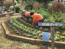 牧場ガーデン植栽