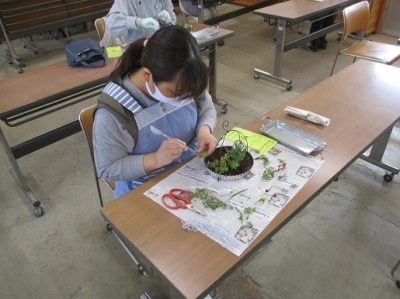 多肉植物の寄せ植え教室