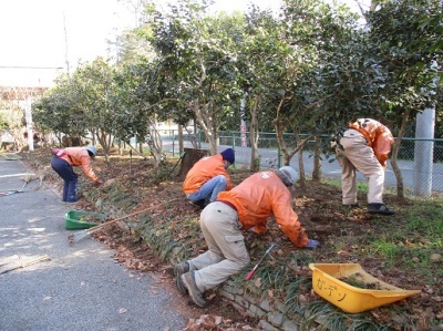 正門の除草作業