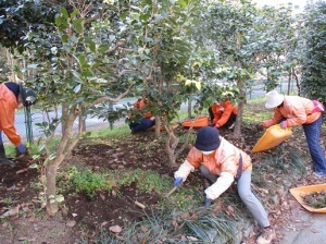 正門の除草作業