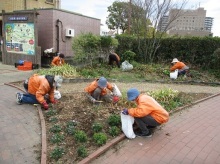 ステイションガーデン除草