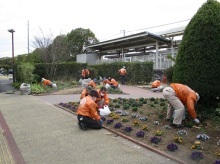 ステイションガーデン除草