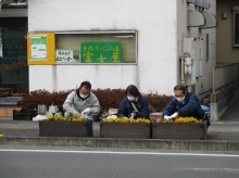 駅通り活動