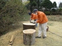 ケヤキの椅子表面研磨作業