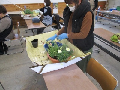 春の草花を使ったコンテナガーデン教室