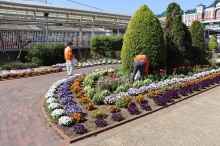 ステイションガーデンの除草