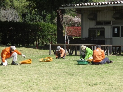 王国ひろば除草