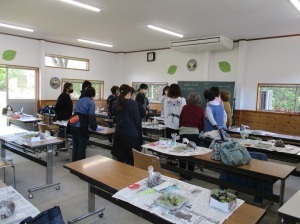 多肉植物の寄せ植え