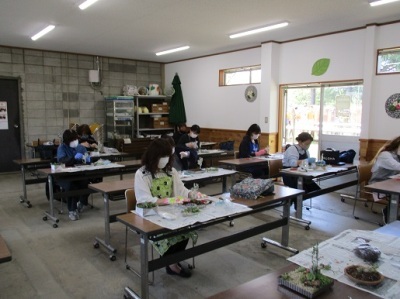 多肉植物の寄せ植え