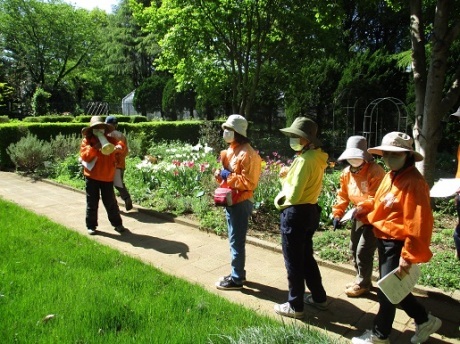 園内草花ガイド