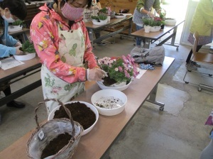 春の寄せ植え教室