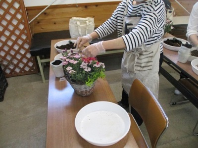 春の寄せ植え教室