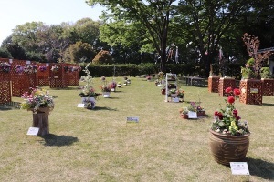 コンテナガーデン展示