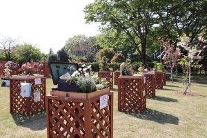 箱庭展示