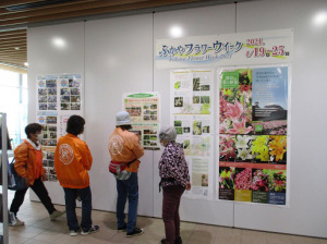 深谷産の花とボランティア活動の展示